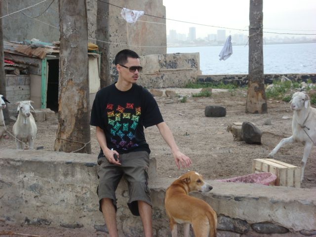 dsc00375 dsc00375