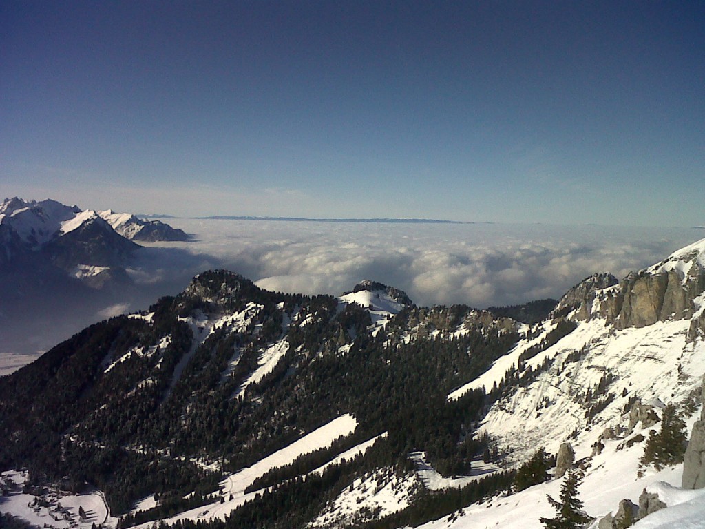 img00050-20100112-1356