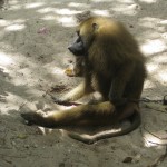 img_2336 img_2336